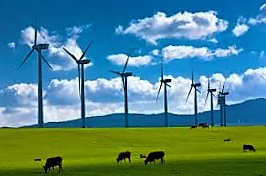 Yeşil Enerji